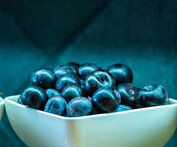 호텔 Hvd Reina Del Mar - Premium Service & Free Parking